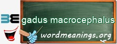 WordMeaning blackboard for gadus macrocephalus